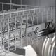 Bosch® 800 Series 24" Custom Panel Built In Dishwasher-2